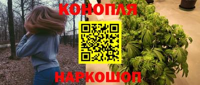 мдпв Нальчик