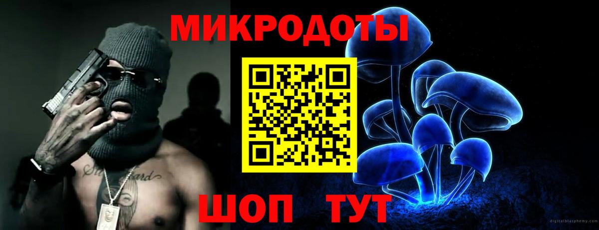 Фрязино  Псилоцибиновые грибы Cubensis  Вход с VPN 